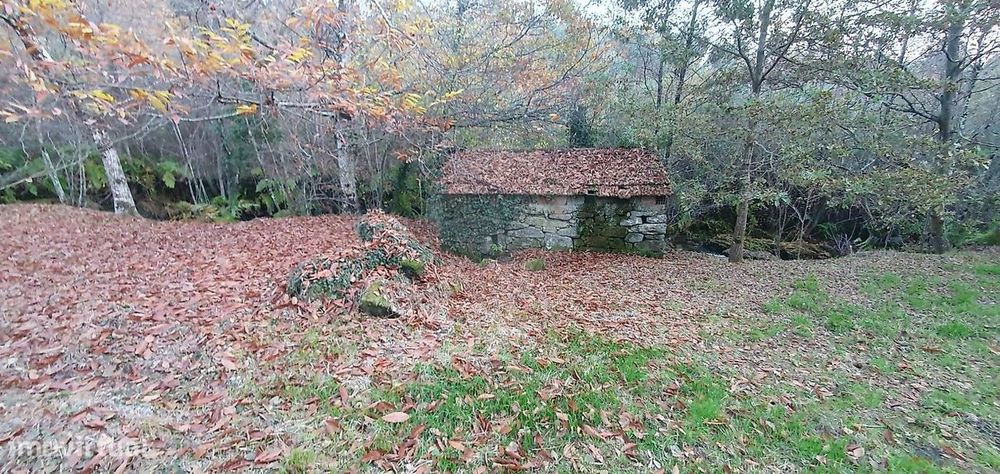 Terreno  para venda — Refojos De Basto, Outeiro E Painzela, Braga