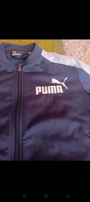 Bluza firmy puma