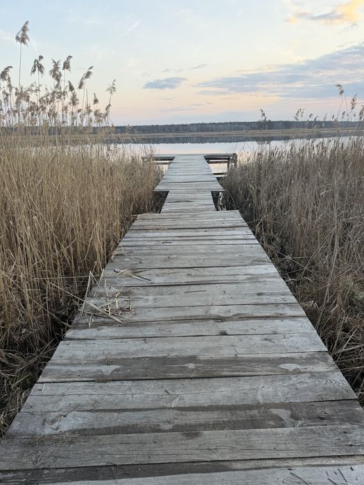 Здається котедж. Подобово, оренда.