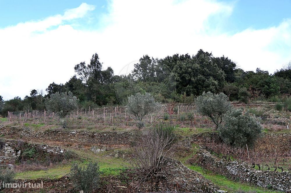 Quinta  para venda