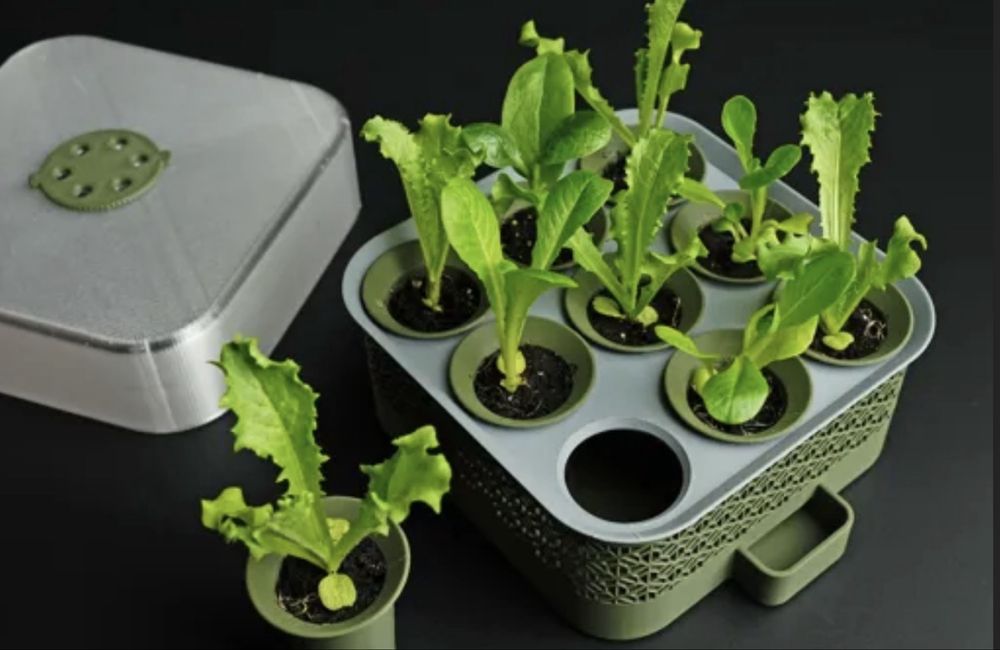 Kit para cultivo em casa