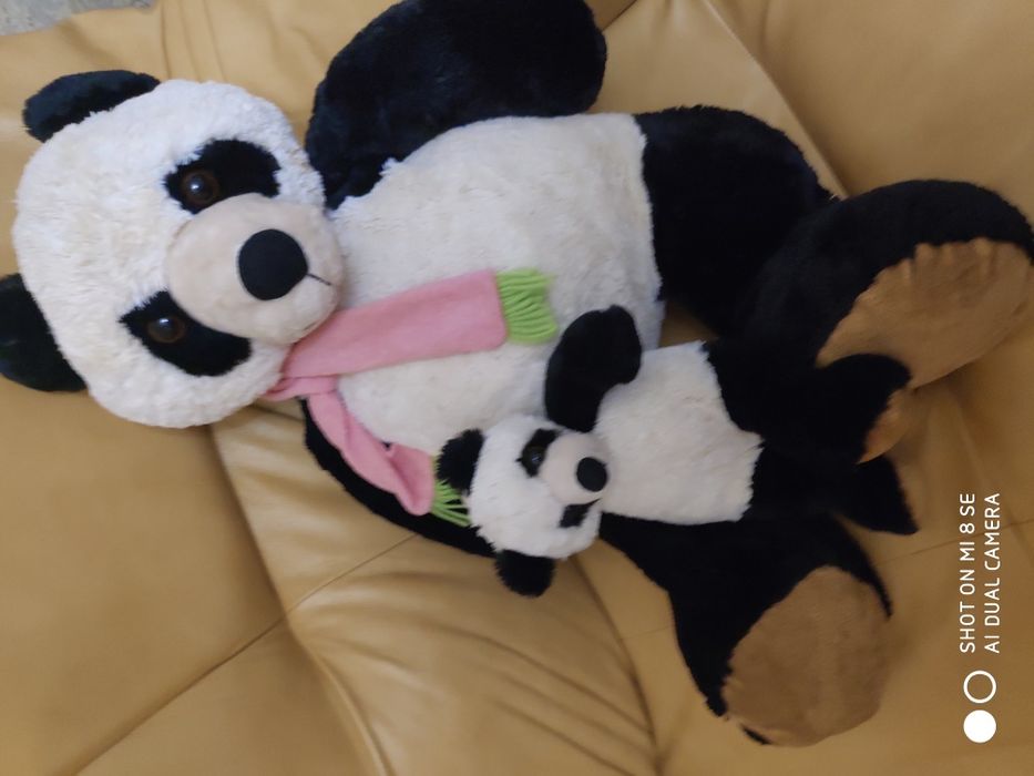 Продам семейку Панд