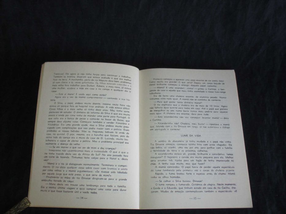 Livro Xicandarinha na Lenha do Mundo Calane da Silva