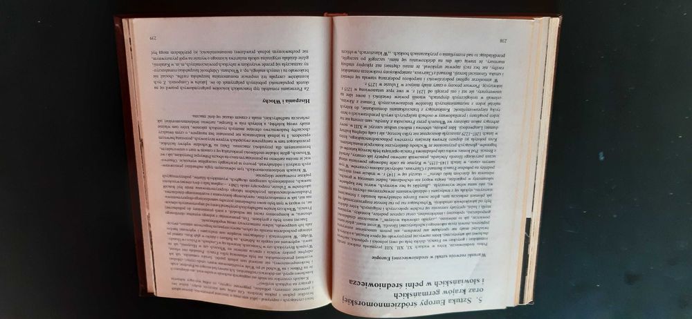 Porębski Dzieje sztuki w zarysie. T. 1