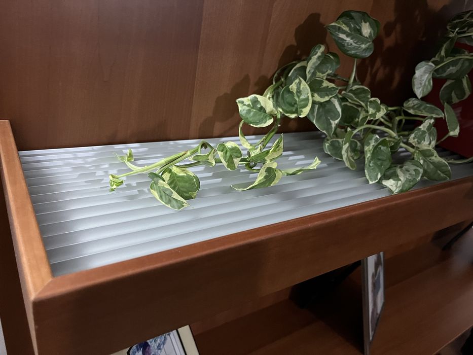 Mobilia de Sala de Estar