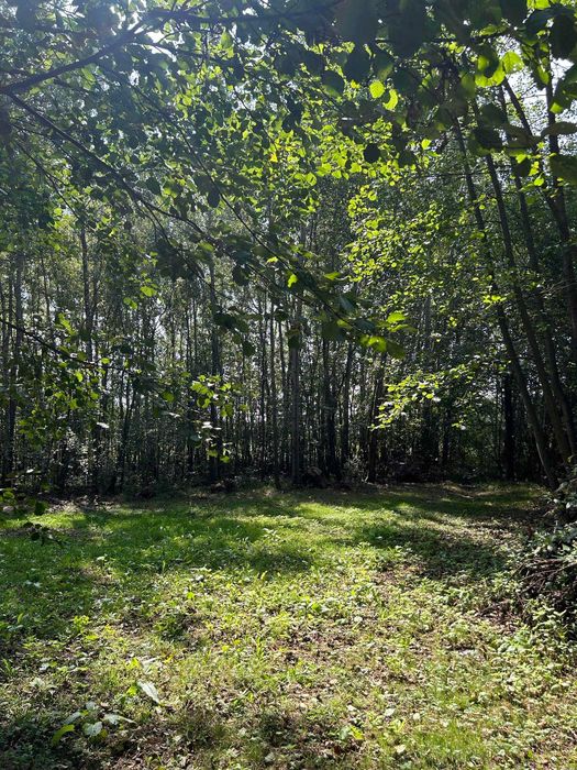 Okazja. Piękna działka  - okolice Góry Kalwarii - Widok 5