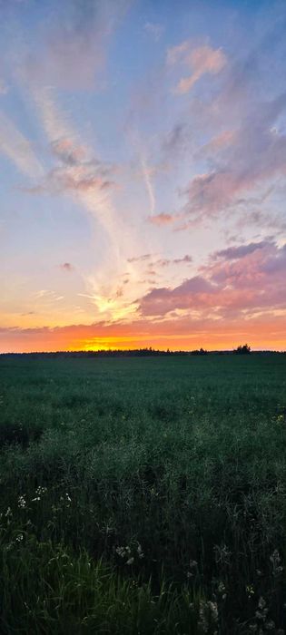 Działka budowlana w Barniewicach ( Gdańsk) | Natura | Stadniny| Jeziora | Spokojna okolica