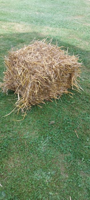 Słoma  w kostkach owsiana