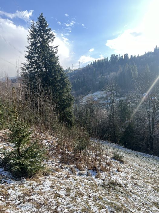 Продам земельну ділянку Славське 20 сотих