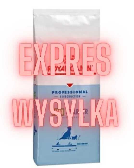 Expres wysyłka firma Mini Starter 20kg Royal Canin