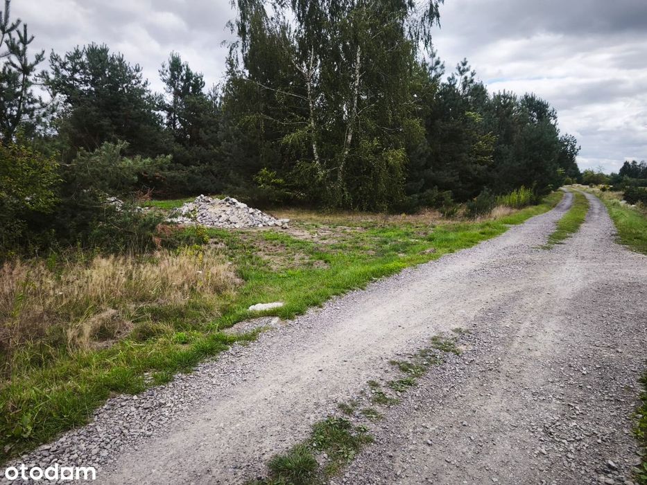 Działka budowlana ul. Gryczana, Głogów Małopolski - Widok 2