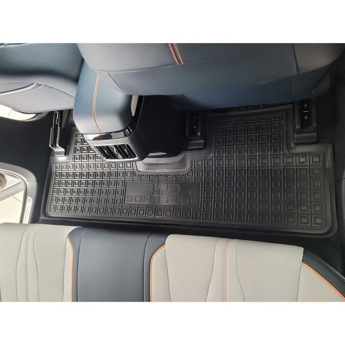 Коврики в салон BYD F0\F3\G6\Tang 2 EV\Song Plus, L\Seagull\Sea Lion