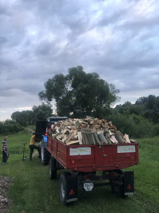 Дрова твердих порід