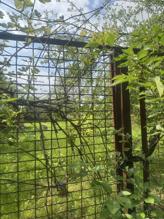 Продаж 3 ділянок с. Велике с/к «Кооператор»