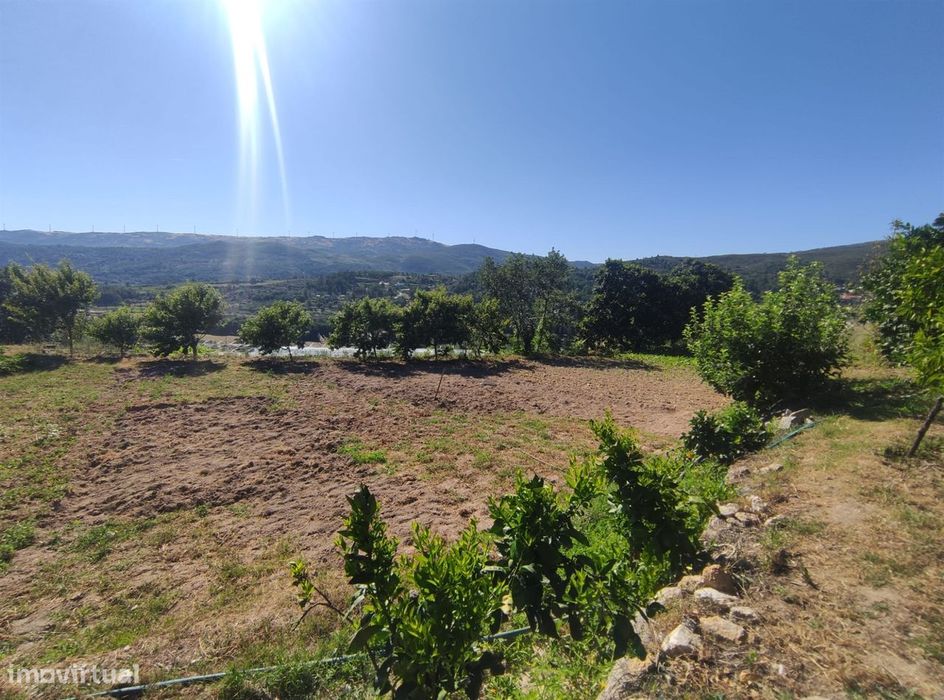 Quinta  Venda em Vela,Guarda