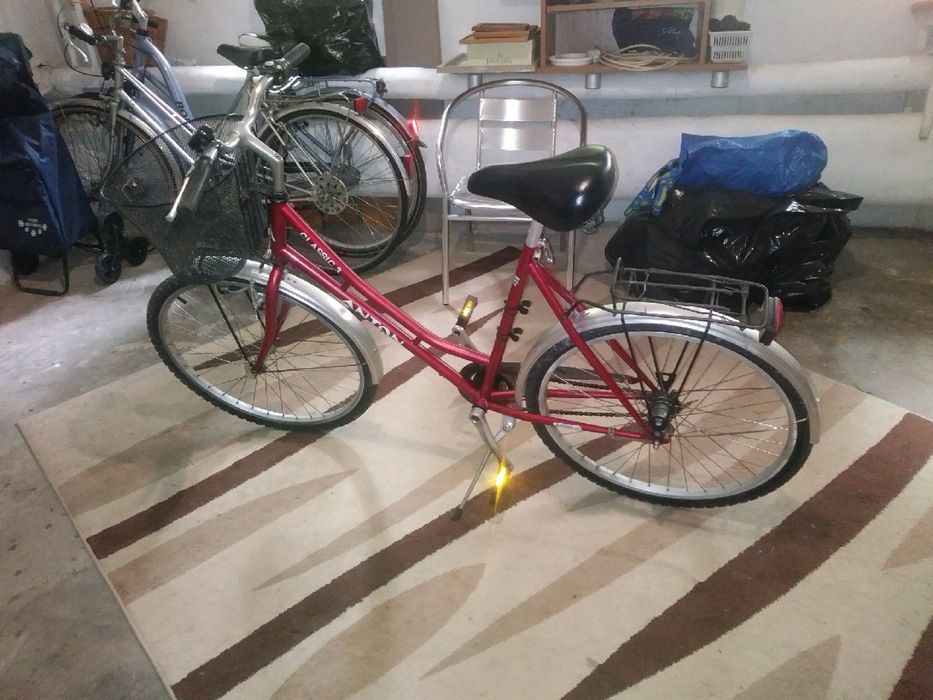 Rower Anton Classic 3