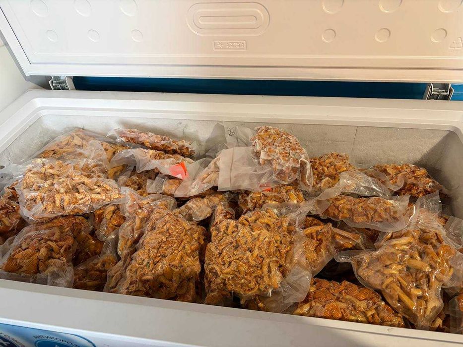 Свіжі Гриби Лисички  преміум у шоковій заморозці | ВЕЛИКІ ОБСЯГИ