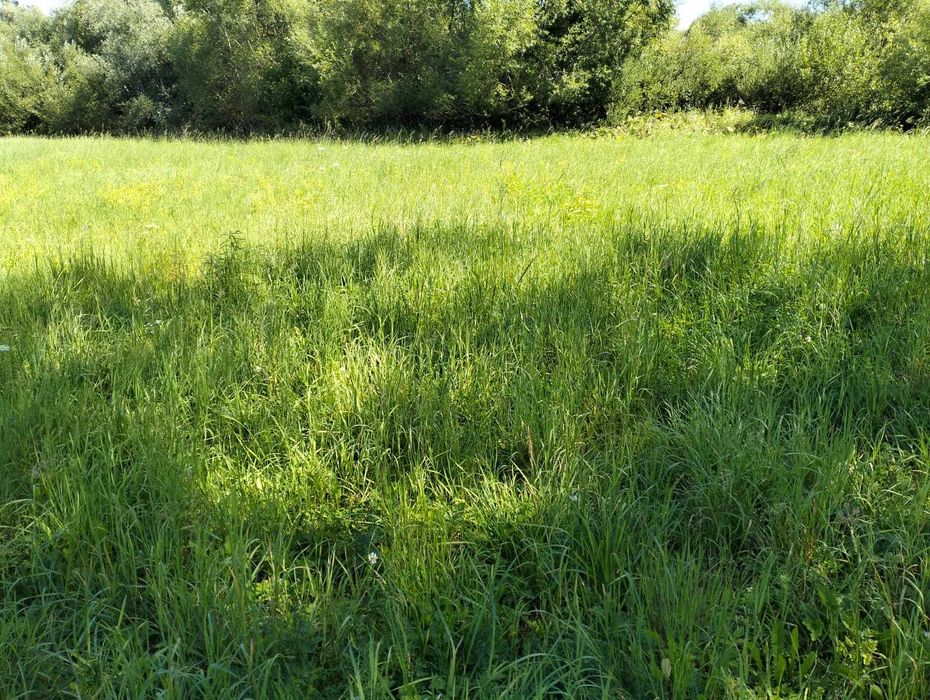 Działka rolna 2187 m² | Olszanica | Bieszczady