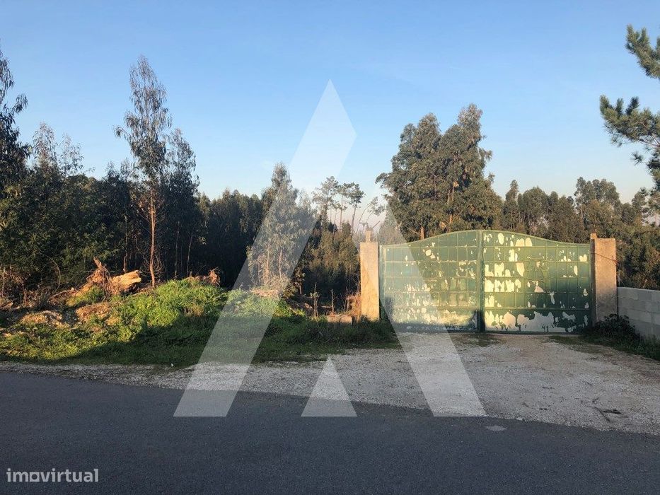 Terreno rústico localizado em Vale d'Erva - Águeda — Águeda E Borralha, Aveiro