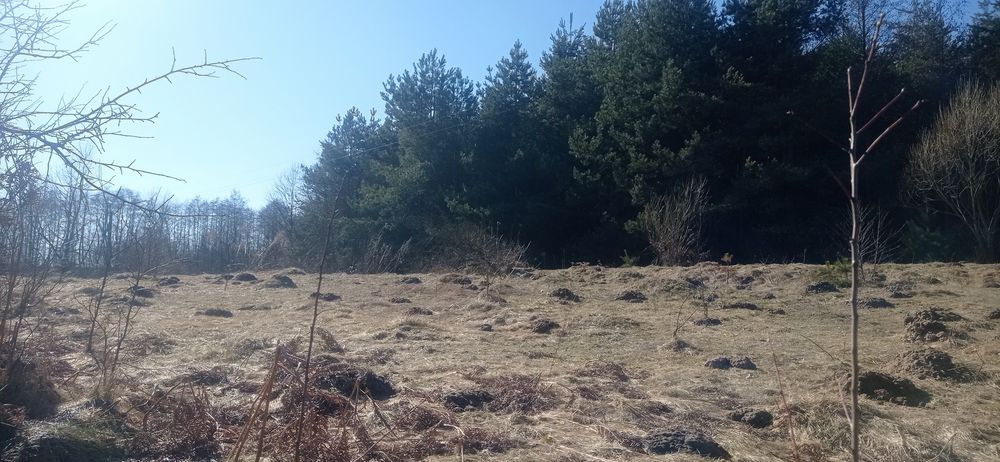 Продам земельну ділянку під забудову