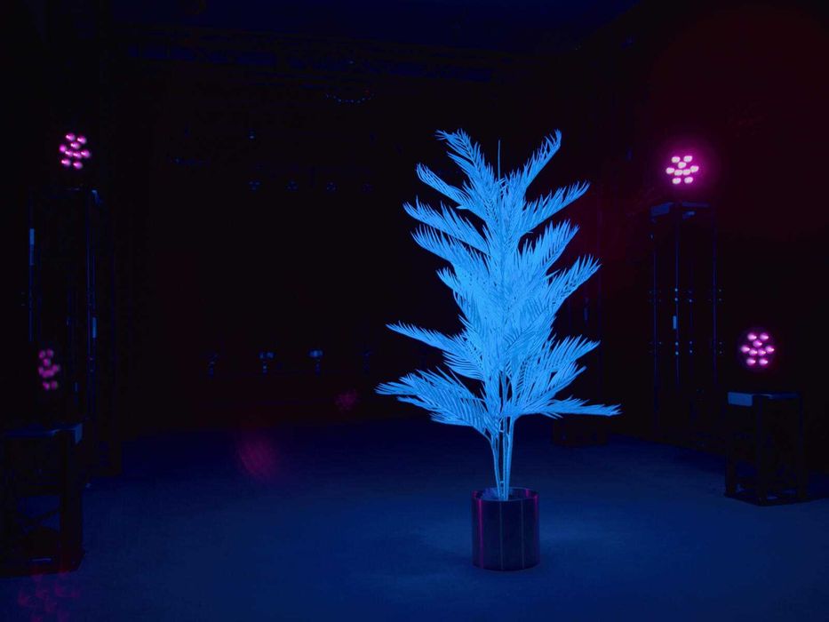 Wynajem lamp UV – idealne na imprezy, eventy Warszawa – blisko centrum