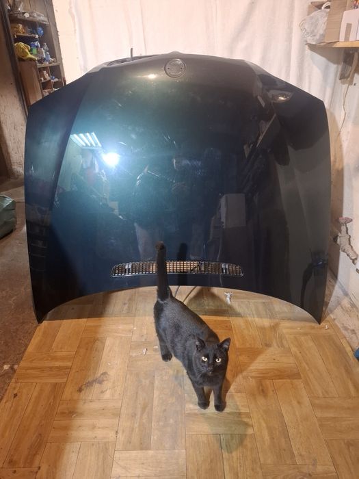 Maska BMW e46 używane