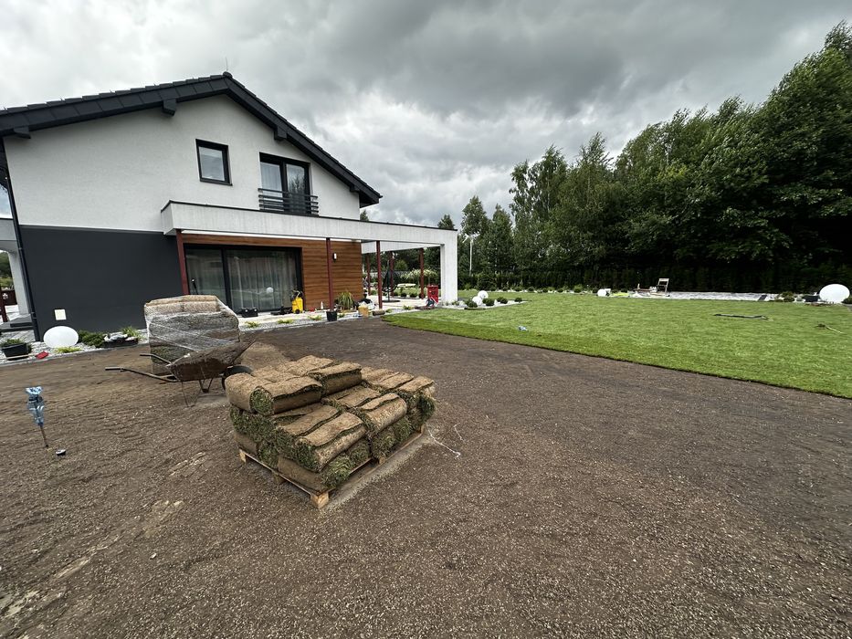 trawnik z rolki bądź siewu