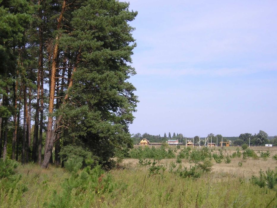 10 соток біля Дніпра та лісу з видом на Тарасову гору — 1500$