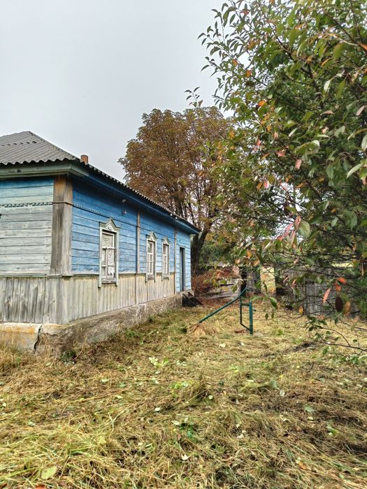 Будинок у мальовничому селі біля Десни, лісів та озер
