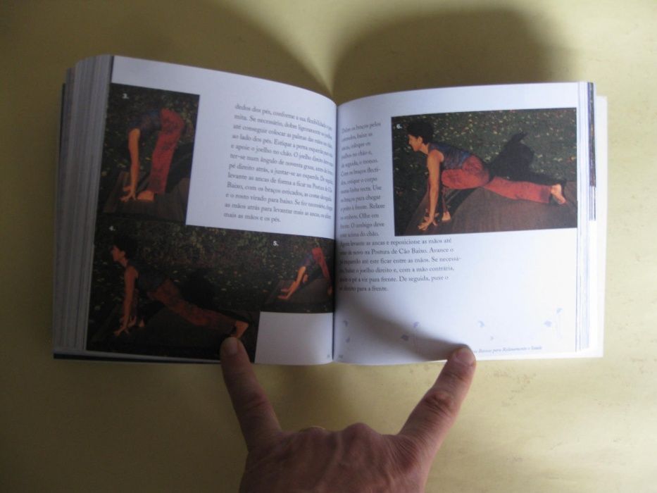 Ioga - O Caminho da Harmonia