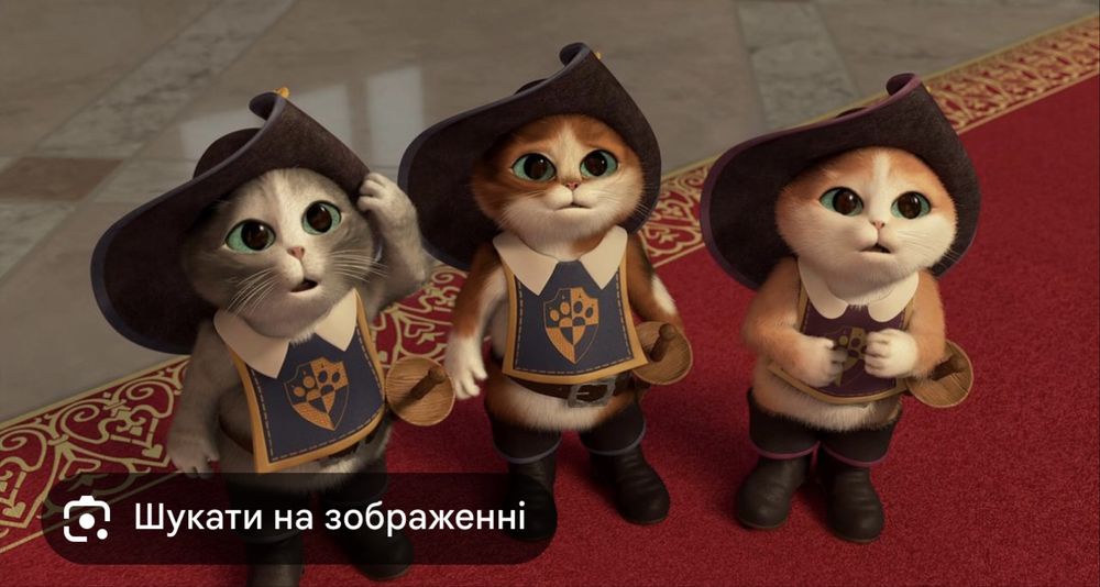 Віддам кошенят у добрі руки