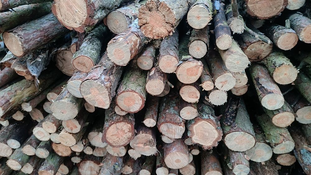 Drewno  opałowe/ kominkowe