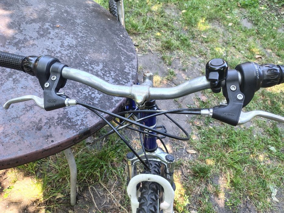 Rower Forester Raptor