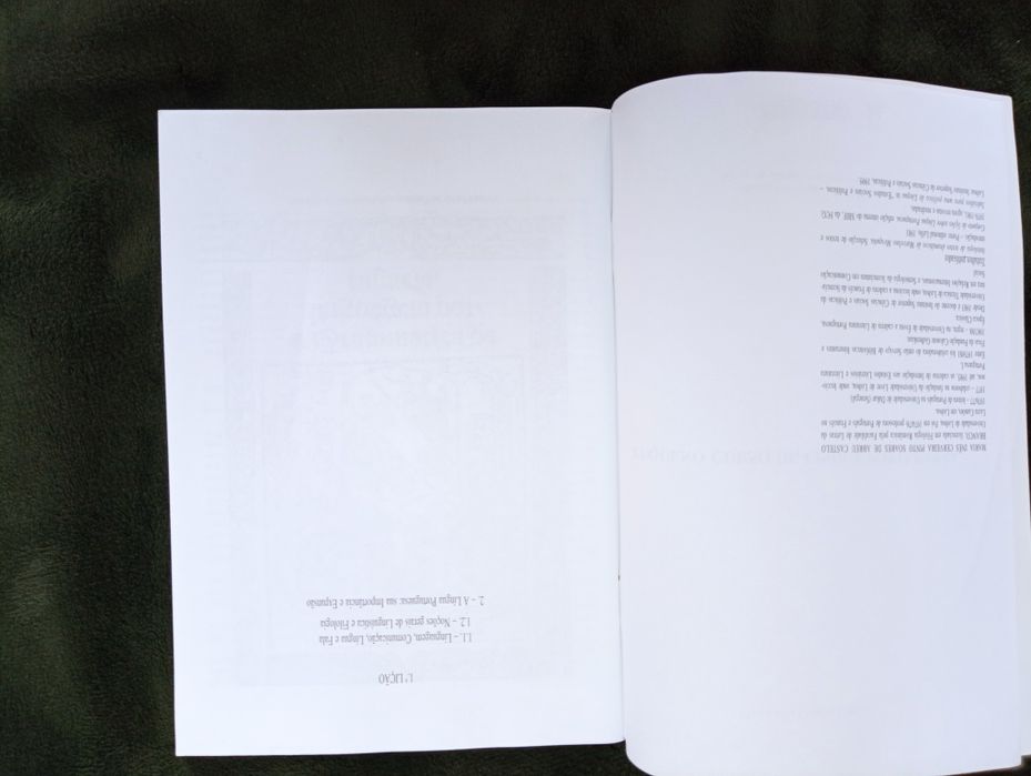 Pequeno curso de língua portuguesa.	Maria Inês Castelo Branco  1984*