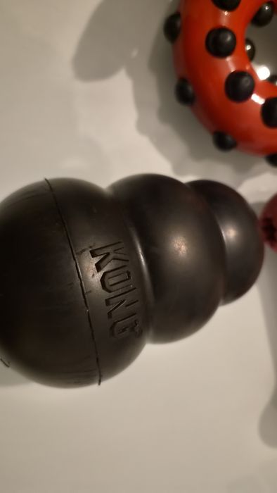 Lote de brinquedos para cão KONG