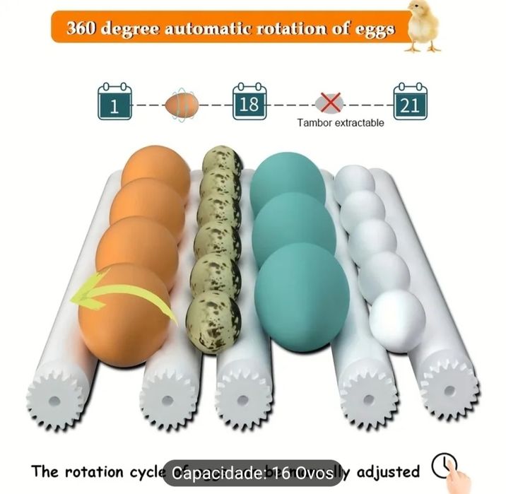 Incubadora Automática para 12-16 Ovos