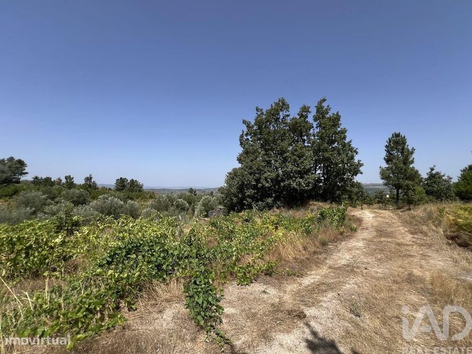 Terreno em Sernancelhe e Sarzeda de 44527,00 m2