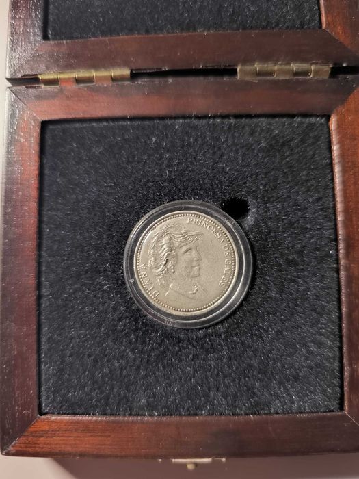 Medalha de Homenagem a Diana, Princesa de Gales – Prata de Lei