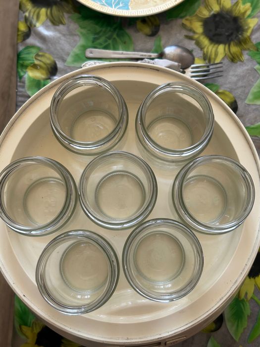 Йогуртница Мулинекс