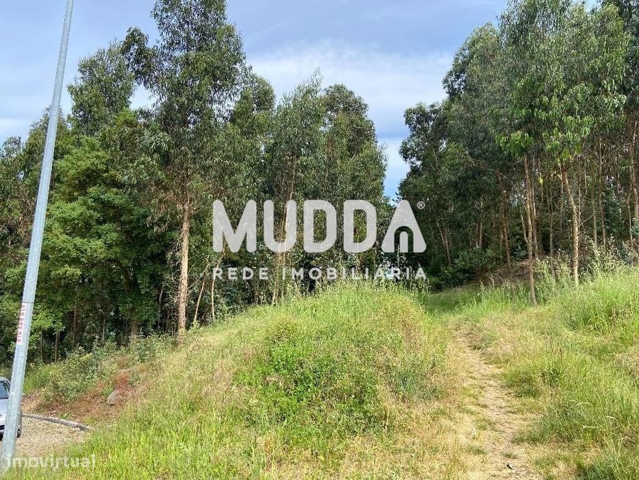 Terreno com 2.900 m2, rústico, com possibilidade de construção, em Cré