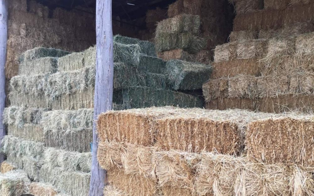 Сено в тюках с доставкой на дом. Сіно в тюках лугове, солома в тюках.