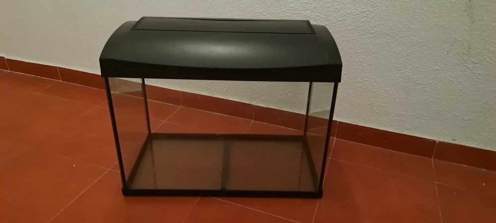 Aquário para peixes 60L