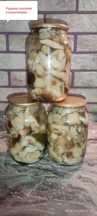 Маринованные грибы " Рядовка( тополевая),Маслята,Польские, зеленушки