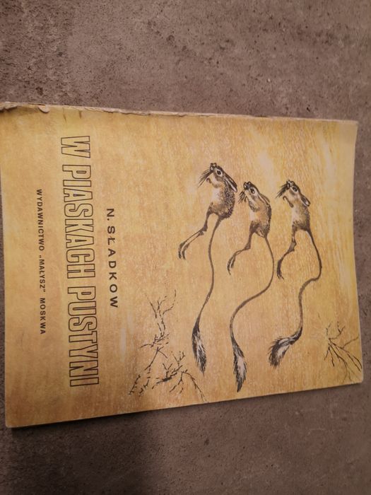 Książka sla dzieci "W piaskach pustyni" N Sladkow