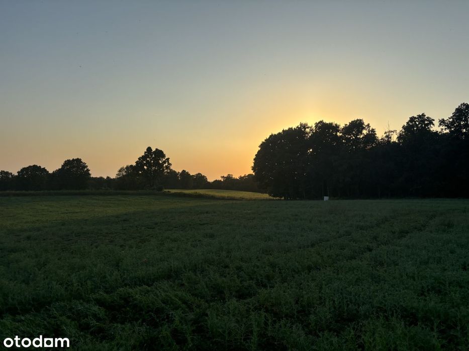 Widokowa działka budowlana 1200 m² z mediami - NOWA CENA! - Widok 6