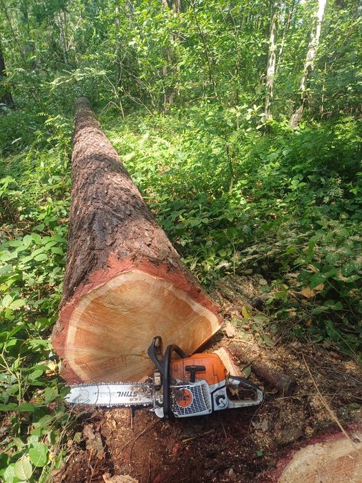 Cięcie rąbanie drewna