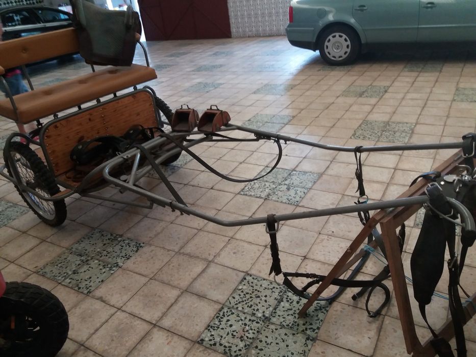 Charrete para venda