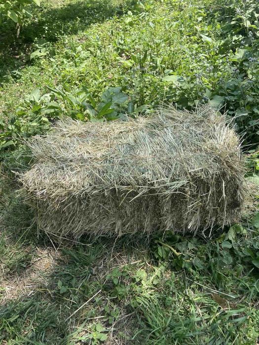 Сіно в тюках садове