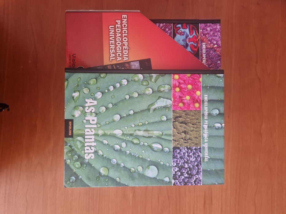 Enciclopédia Pedagógica Universal, Visionarium e JN