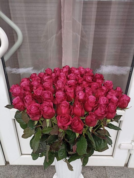 Розы  Троянди круглосуточно